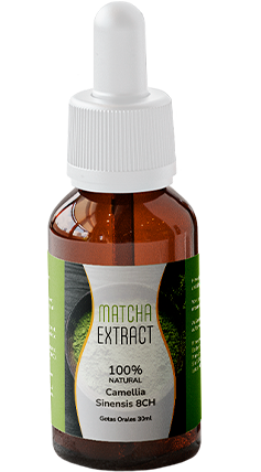 Matcha Extract